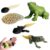 Life Cycle Toys – Realistic Animal Figurines for Kids