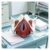 Life Size Female Pelvis Model with Pelvic Floor Muscles