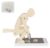 Lifting Model,Human Weightlifting Spine Force Demonstration Model