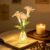 Lily Flower Lamps, Color Changing Fiber Optic LED Night Light (Lily)