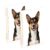 linqin A5 Refillable Loose Leaf Notebook 2 Pack