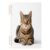 linqin A5 Travel Diary Notebook for Note Taking 1 Pack
