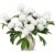 Lisuun Artificial Pompon Mum Flowers for Tall Vase, Long Stem Faux Stems