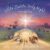 Little Stable, Holy Night: A Nativity Story (Little Holy Day (2 book series))
