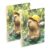 Loancwa A5 size Slider Capybara Summer Pattern notebooks 8.3″ x 5.7″, wide ruled spiral notebook 60 sheets for planner&business