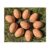 lstyty Montessori Solid Wooden Fake Chicken Eggs