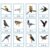 lstyty Montessori Three Part Matching Cards, Wooden Storage Box
