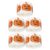Lurrose 5 Rolls Waterproof Halloween Pumpkin Decorating Stickers Shiny Holographic Finish and Glitter, Self-Adhesive Orange Pumpkin Seals for Envelopes and Trick or Treat Party Favors