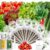 LYKOCLEAN 8-pod Salad Seeds Pod Kits for iDOO, Ahopegarden Hydroponics Growing System, 350+ Seeds (Include Spinach, Swiss Chard, Red Leaf Lettuce, Cucumber, Tomato, American Fast Lettuce)