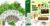 LYKOCLEAN Herb Seed Pod Kit and Large Root Viewer Kit for Kids STEM Science Toy Growing Kits