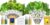 LYKOCLEAN Herb Seed Pod Kit and Lettuce Seed Pods Kit