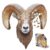 Madd CAPP Puzzles I AM Ram Animal Shaped 550 Piece Jigsaw Puzzle for Adults & Kids – Large Poster Size Floor Ram Puzzle – Unique Wildlife Educational Family Activity Gift for Men Women Teens