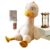 Magnetic Detachable Duck Plush, Detachable Cute Plush Fidget Toy