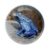 Magnidome – Poison Dart Frog Fridge Magnet from Deluxebase. Cute Crystal Glass Dome Magnet for Refrigerator, Whiteboard and Locker. Unique Animal Gift for Office and Home Decor