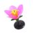 Magnified Peach Blossom Demonstration Kits Interactive Learning Equipment for Secondary School Laboratories Flower Model for Classroom