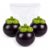 Mangosteen Squishy Toy, Slow Rising Sensory Squeeze Toy，1