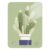 MAOBLYR Cactus in Pot Food Kitchen Scale Digital Grams and Ounces