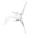 Marhynchus Horizontal Wind Turbine 300W 600W, 12V 24V 3 Blade Wind (12V)