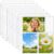 MaxGear 200 Pack 4×6 Photo Sleeves for 3 Ring Binder (1200 Pictures)