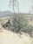 Maynard Dixon – Over the Border – Art Print on Paper or Canvas