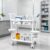 Medical Rolling Cart, 2 Tier Mobile Esthetician Utility Cart with Pull-Out Drawers, 360° Silent Lockable Casters, Heavy Duty 330 LBS Capacity, Utility Cart for Dental Clinics and Beauty Salon