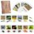MEROCO Montessori Animal Match – Insect Animal Figurines with Matching Cards Language Montessori Materials Preschool Learning Toy NEWT008