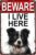 Metal Tin Sign Border Collie Dog Breed Gate Signs Beware I Live Here Garden Yard Fence Gift For Women Men 8×12 Inch Plaque Tin Sign