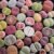 Micro Landscape Design Lithops Seed Mix Freshly Harvest Pack of 50 Seeds Mix (50 Seeds + Germination Kit)