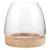 Mikinona Small, for Growth Gardening Elegant Indoor Root and Observing Hydroponic Planter Plant Glass Vase with Wooden Base Modern Bowl Shape Propagation or Kitchen Décor