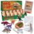 MindWare Dig It Up! Dinosaur eggs excavation kit