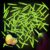 Mini Glow Sticks Bulk 100 PCS, Glow in The Dark Small Glow Sticks for Easter Egg Fillers, Glow Sticks Party Favors, Halloween Party Supplies, Birthday Goodie Bags, Classroom Prizes, DIY Crafts (Green)