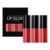 Mini Matte Liquid Lipstick Set – 3Pcs Velvety Transfer-Resistant Glaze for Daily Use Color 13 One Size