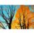 MISITU Jigsaw Puzzles 1000 Pieces for Adults Travel Puzzle Challenging Difficult Puzzles Christmas Birthday Gift Game Toys Shimmering Maple 19.69 x 27.56 Inches