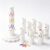 Modular Clay Bloom Maker with 9 Shaping Sleeves,Reusable DIY Flower Making Tool for Polymer Clay,Creating Layered Handmade Blooms, Craft Decoration，White