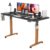 Monomi Electric Standing Desk 55”x24”, Height Adjustable Desk with Wheels