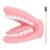 Mouth Puppet with Tongue | Realistic PVC Dentals Model Design