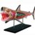 MOWFXUA 4D Shark Anatomy Model Kits, 20 Pieces Detachable Animal Anatomical Model Animal Biology Organ Medical Teaching Model Puzzle Assembling Toy