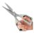 Multifunctional Stainless Steel Kitchen Shears for Effortless Cutting(3PCS)