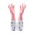 Mumuly Thicken Latex‑Free Long Waterproof Dishwashing Gloves for Women Kitchen(Pink 1 pair)