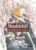 Mushishi Collector’s Edition 4