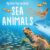 My First Pop-up Book: Sea Animals