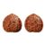 Natural Wenwan Walnut Pair 1.6 Inch Chinese Fidget Stress Relief Gift