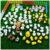 NIBERDA 100 Pcs Farm Mini Resin Animals Figures