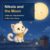 Nikola and the Moon (Nikola’s Fun Adventures)