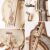 NOENNULL Wooden Musical Instrument Jigsaw Toy Exquisite Classical Model Kit for Boys and Girls, STEM Toy for Home Decoration, Made of Wood, for Puzzle Lovers (TG411 Cello)