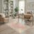 ODIKA 4’x6′ Pink Soft Vintage Floral Medallion Washable Area Rug