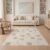 ODIKA 5’x7′ Taupe Petrel Micro-Checked Design Washable Area Rug