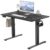 OLIXIS 40 Inch ectric Standing Desk, Height Adjustable, for Home