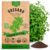 Oregano Seeds Pack 0.25 G – Over 3500 Non-GMO Heirloom Italian Vulgare Oregano Seeds for Planting