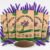 Organo Republic 5-Pack English Lavender Seeds 12.50G – Over 11000 Non-GMO Heirloom Lavender Seeds for Planting in Individual Seed Packets, Herb Seeds for Planting Home Garden Indoor & Outdoor